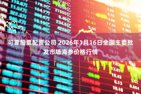 可靠股票配资公司 2026年1月16日全国主要批发市场海参价格行情